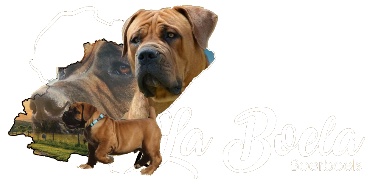 La Boela Boerboels Logo